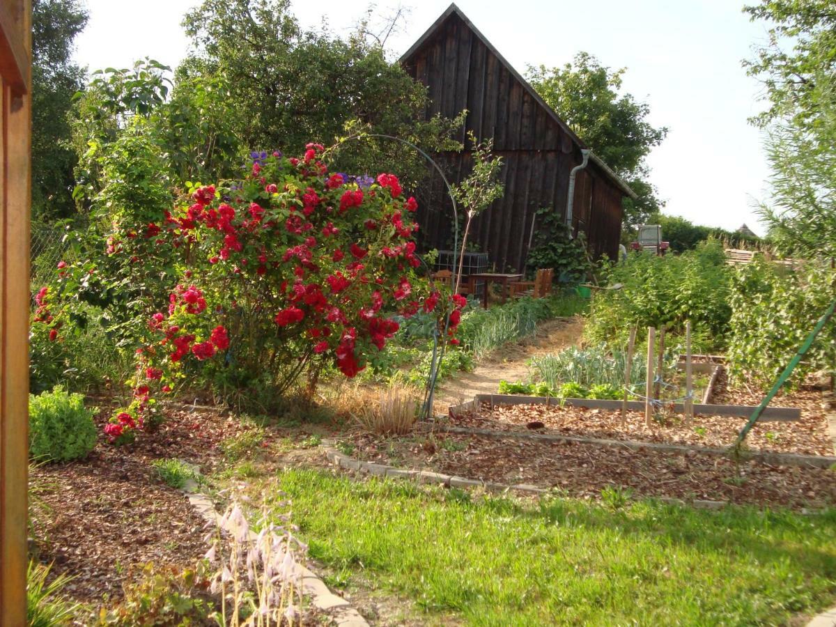 Ferienwohnungen Strohmayerhof Rastenfeld ภายนอก รูปภาพ